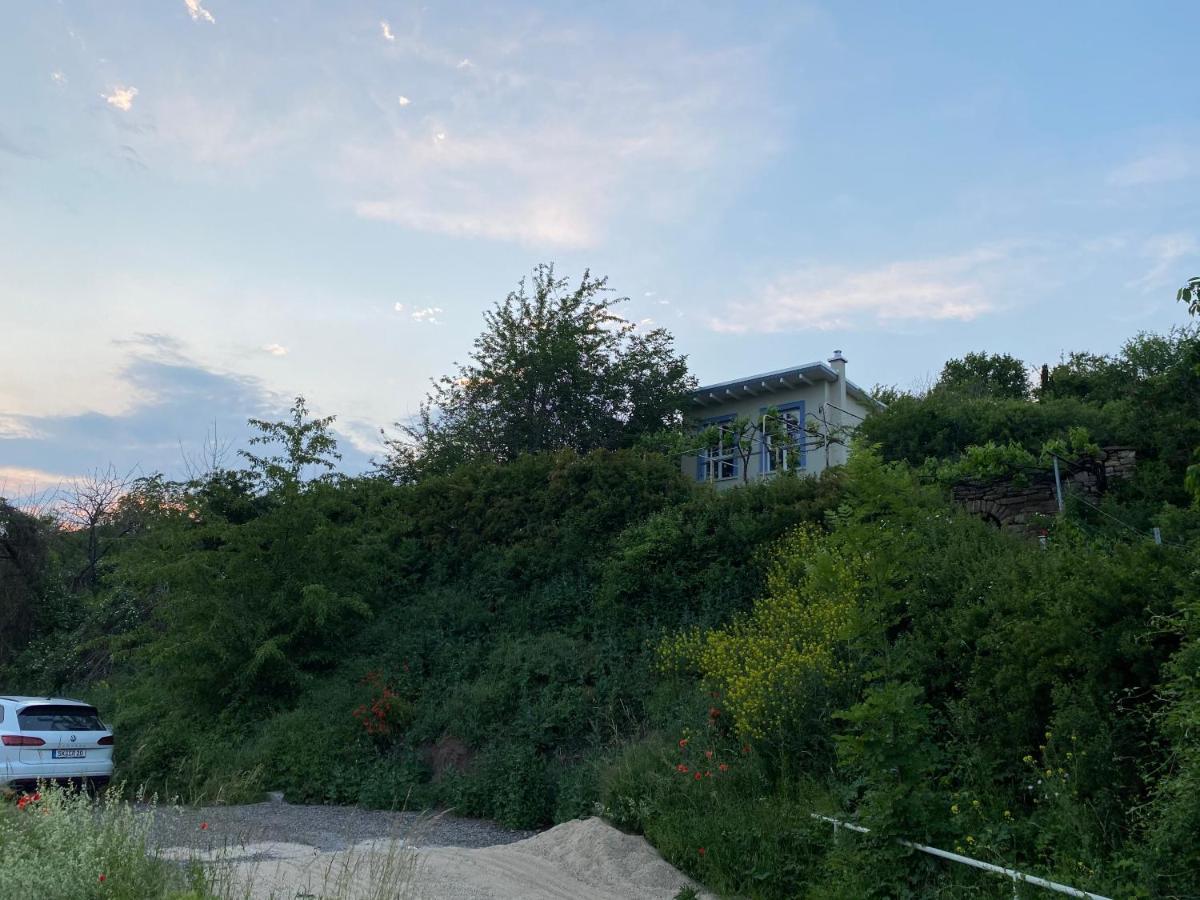 Weinbergshaus Mit Blick Auf'S Wasser Salzatal Eksteriør bilde